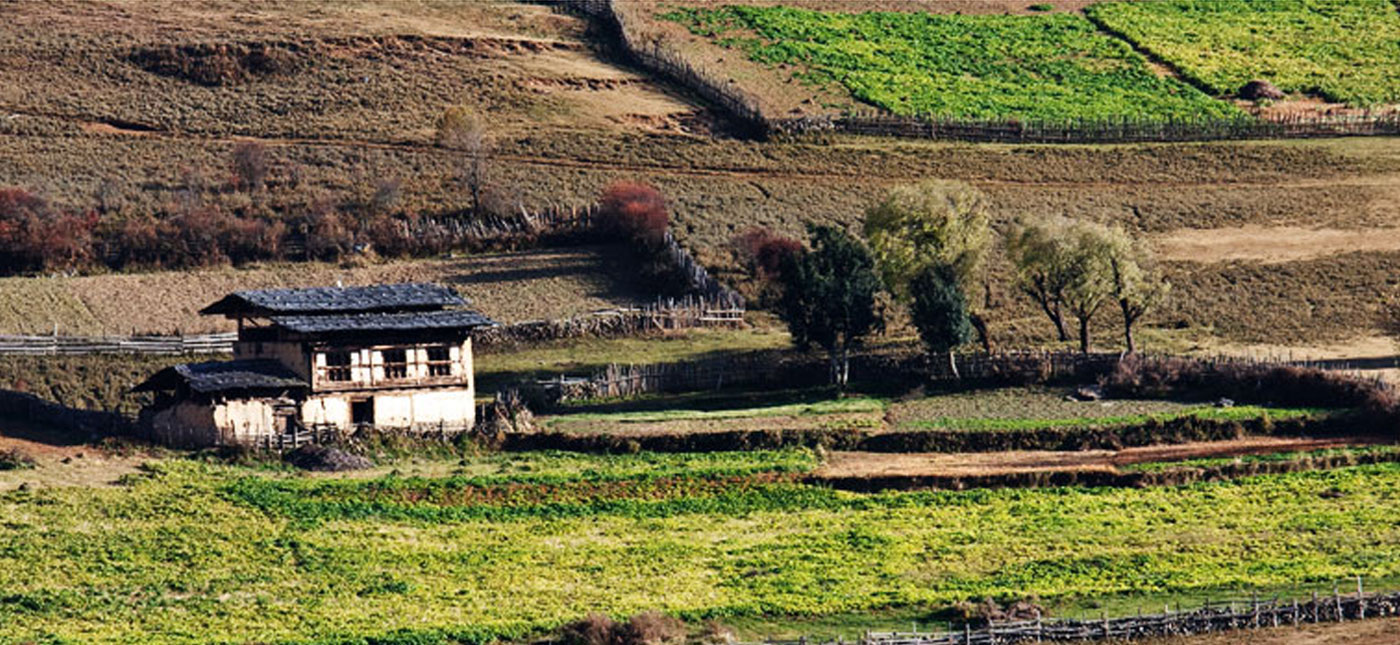 Wangduephodrang